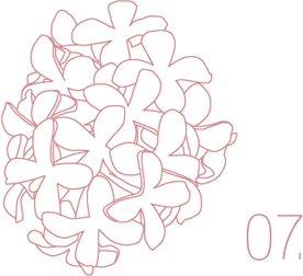 Bergrüssungsbild ulani Juli 2006