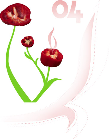 Bergrüssungsbild ulani April 2006