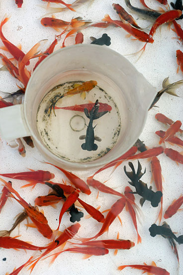 Bergrüssungsbild ulani Mai 2008