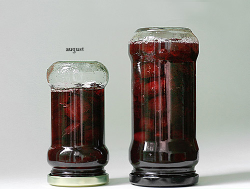 Bergrüssungsbild ulani August 2009