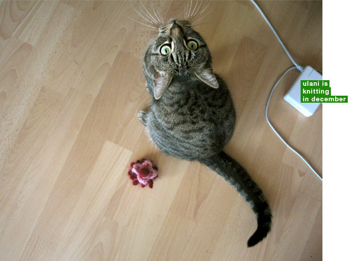 Bergrüssungsbild ulani Dezember 2007