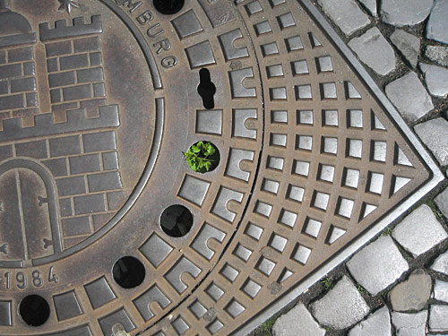 Bergrüssungsbild ulani Juni 2009