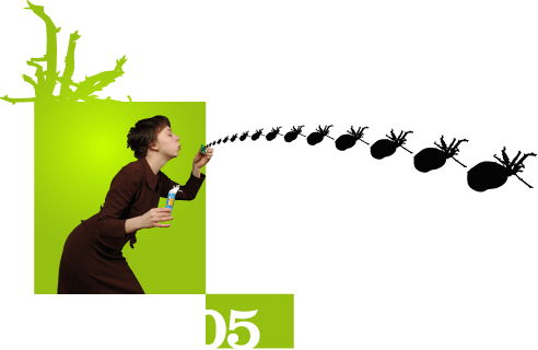 Bergrüssungsbild ulani Mai 2006