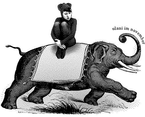 Bergrüssungsbild ulani November 2008