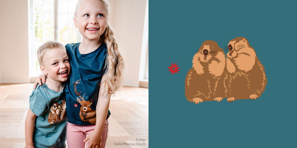 DAV Kollektion Kinder TShirts
